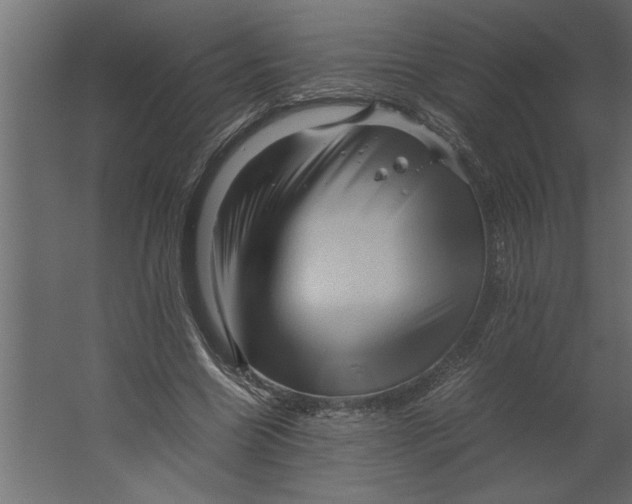 X0000062170538200512301648