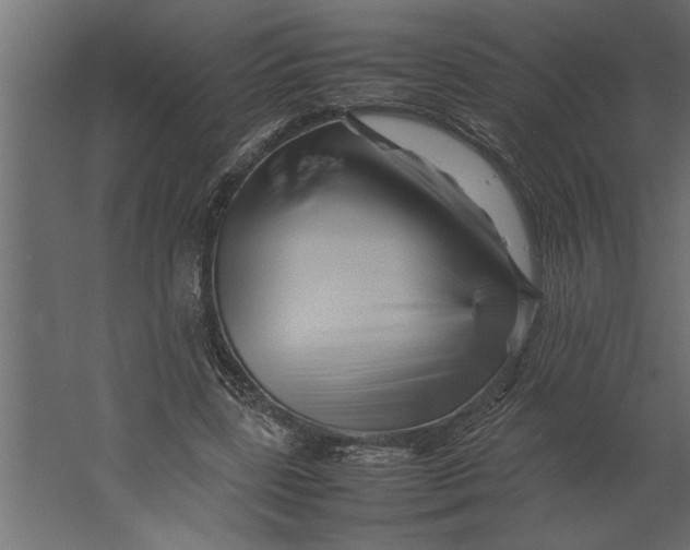 X0000062170539200512301648