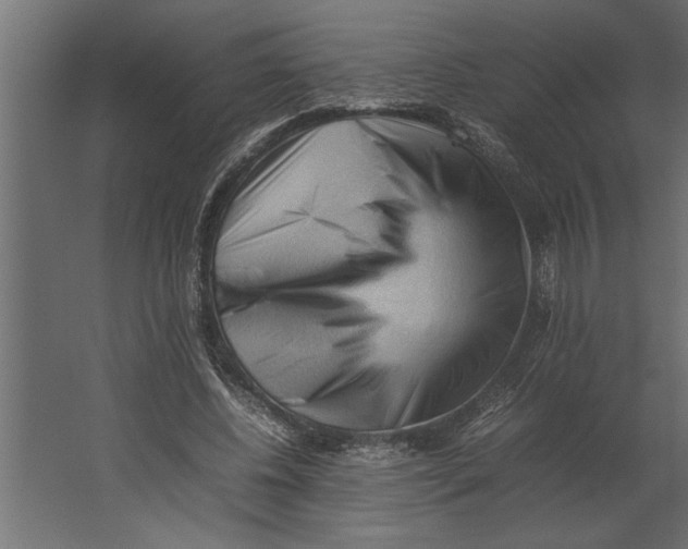 X0000062170540200512301648