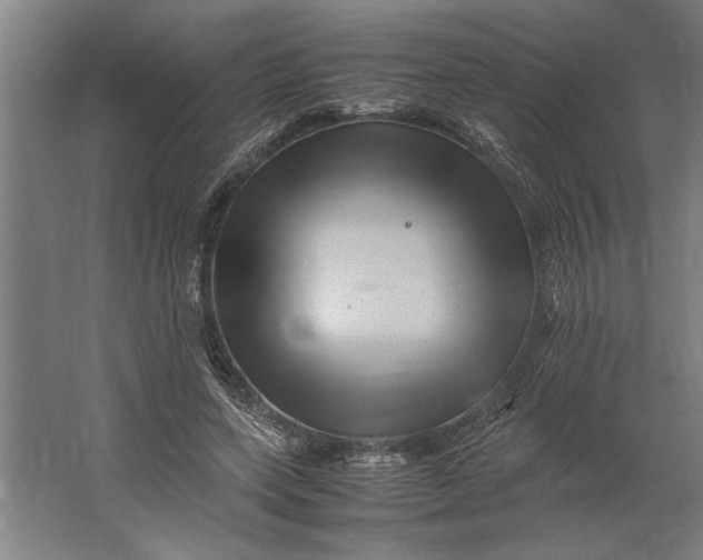 X0000062170543200512301648