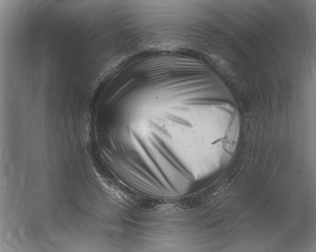 X0000062170544200512301648