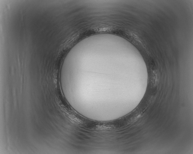 X0000062170545200512301648