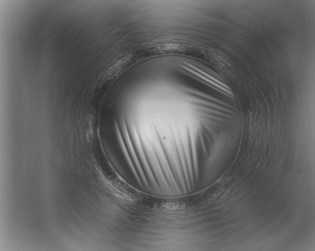 X0000062170546200512301648