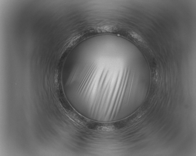 X0000062170548200512301648