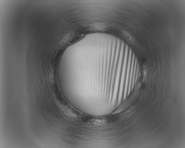 X0000062170552200512301648