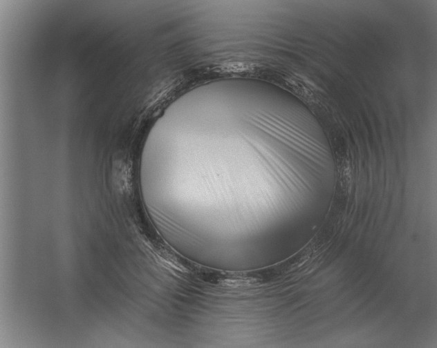 X0000062170556200512301648