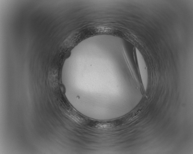 X0000062170557200512301648