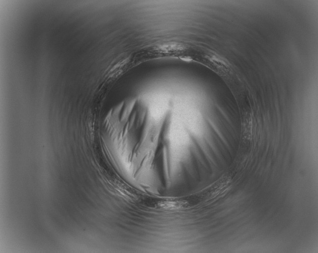 X0000062170558200512301648