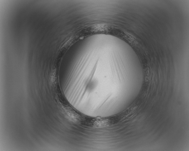 X0000062170560200512301648