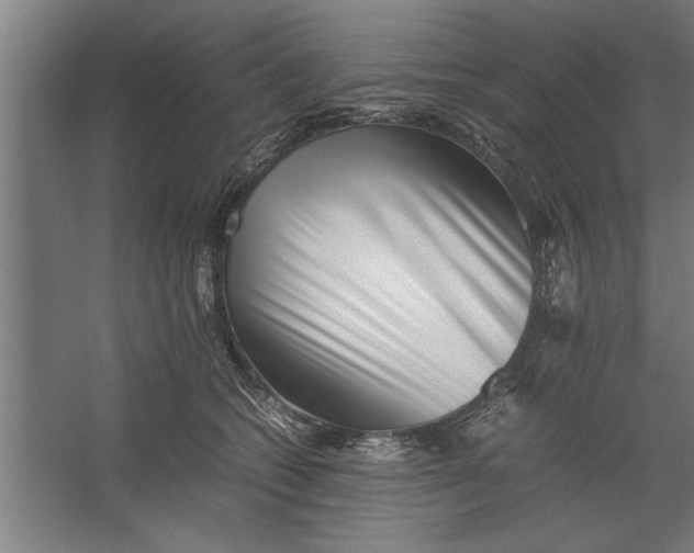 X0000062170562200512301648