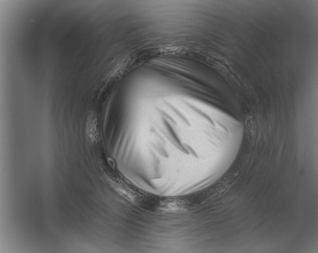 X0000062170564200512301648