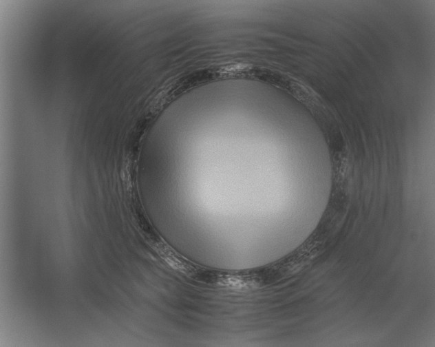 X0000062170565200512301648