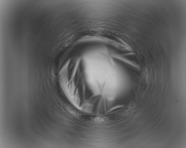 X0000062170566200512301648
