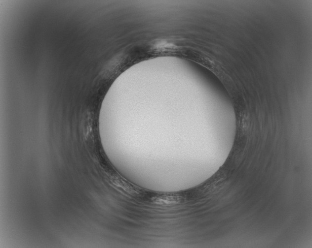X0000062170567200512301648