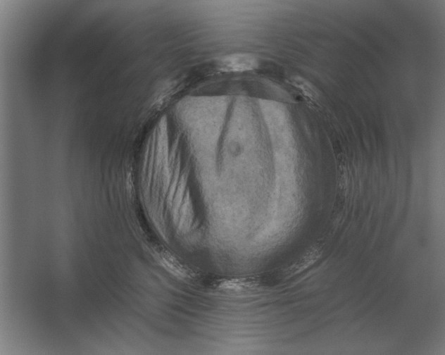 X0000062170568200512301648