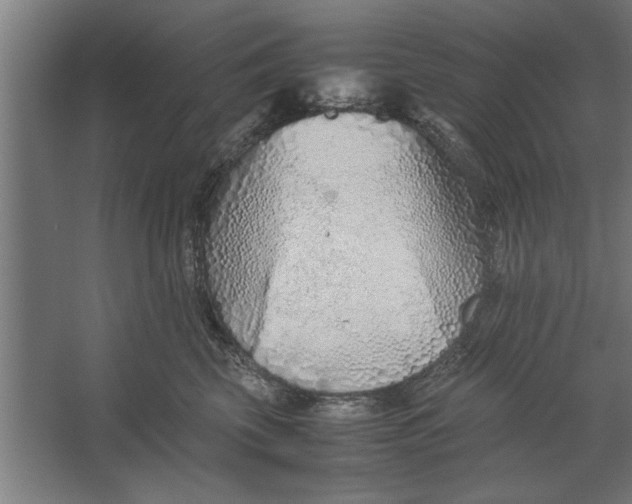 X0000062170569200512301648