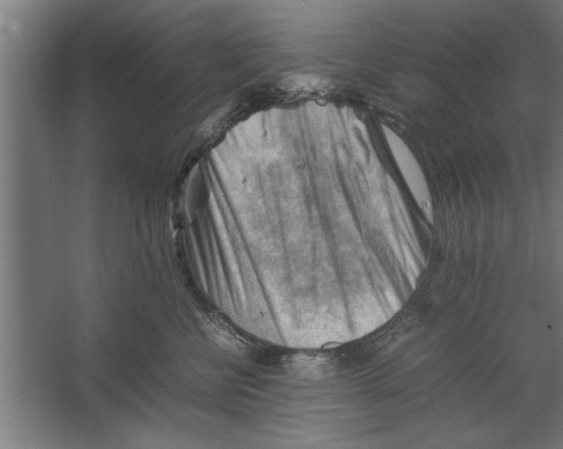 X0000062170570200512301648
