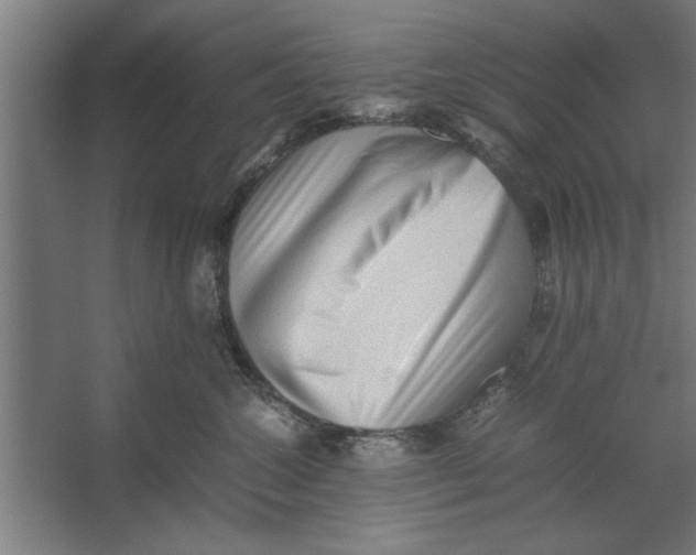 X0000062170572200512301648