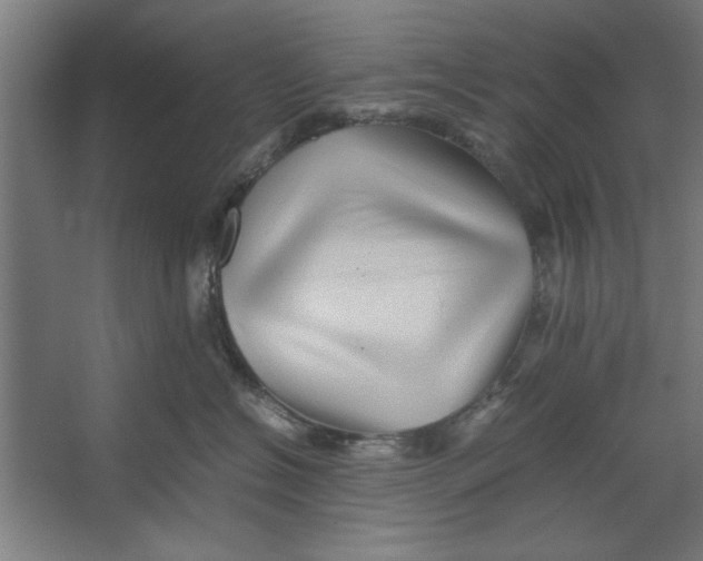X0000062170574200512301648