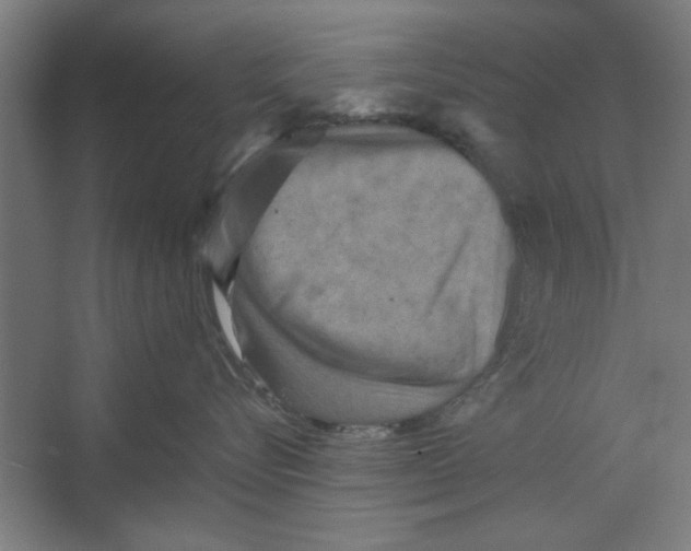 X0000062170576200512301648