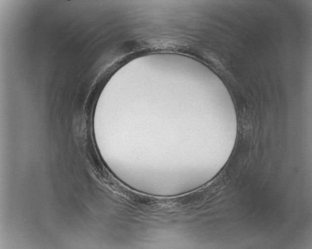 X0000062170583200512301647