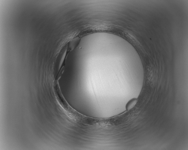 X0000062170586200512301647
