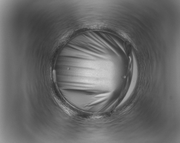 X0000062170589200512301647