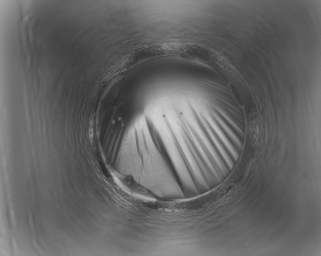 X0000062170593200512301647