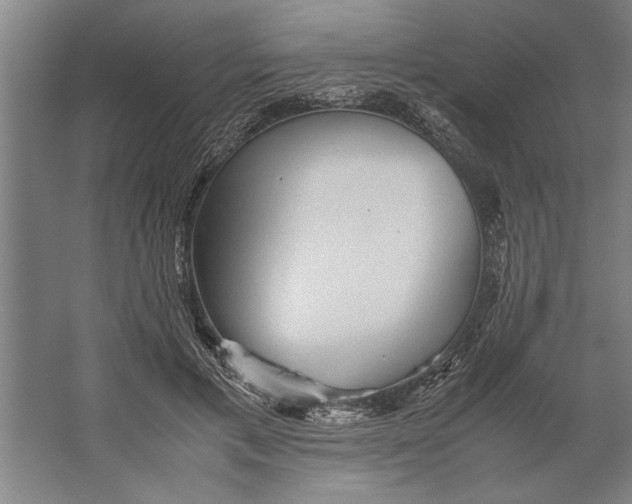 X0000062170597200512301647