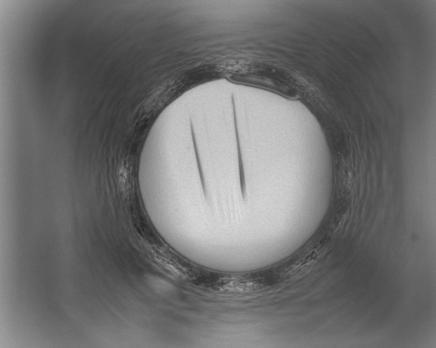 X0000062170601200512301647
