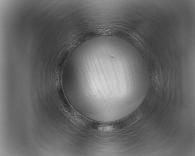 X0000062170602200512301647