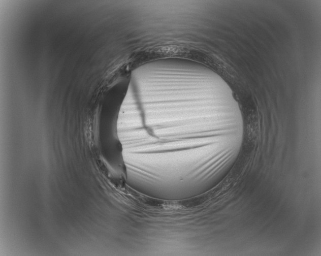 X0000062170605200512301647
