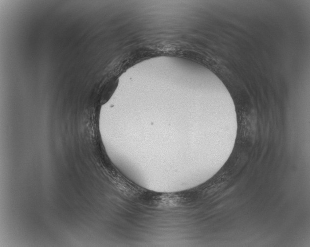 X0000062170612200512301647