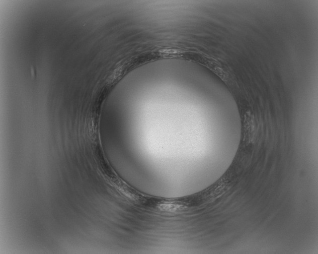 X0000062170614200512301647