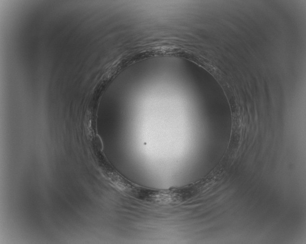 X0000062170615200512301647
