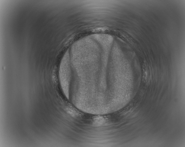 X0000062170616200512301647