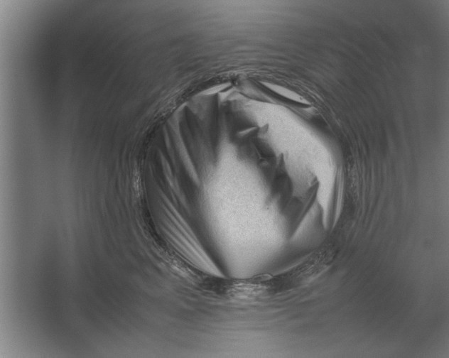 X0000062170617200512301647