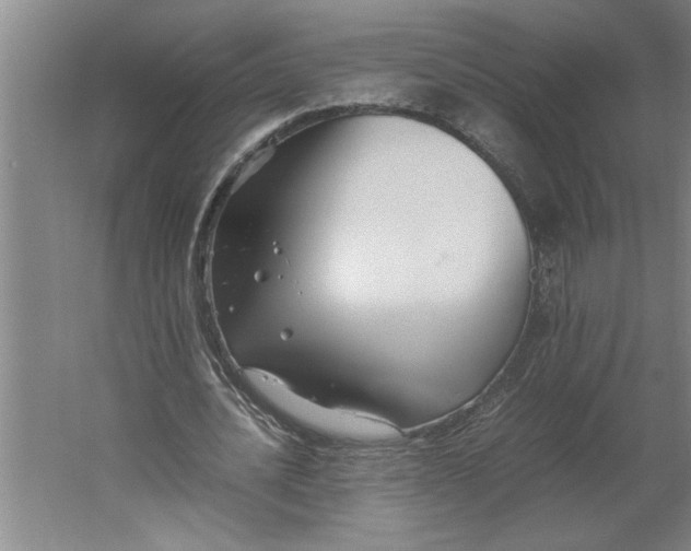 X0000062170628200512301646