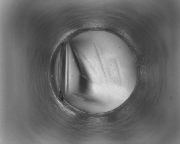 X0000062170629200512301646