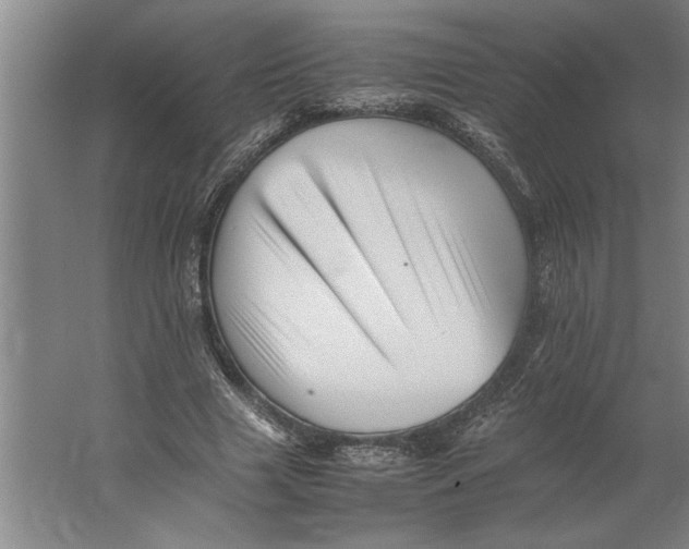 X0000062170633200512301646