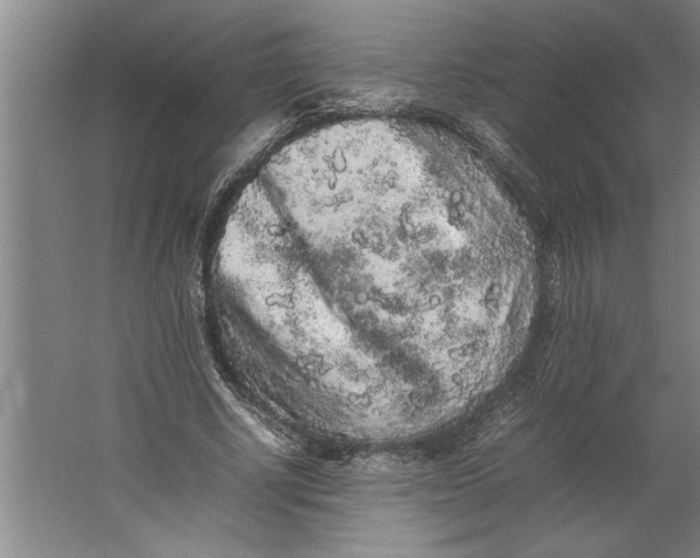 X0000062170634200512301646