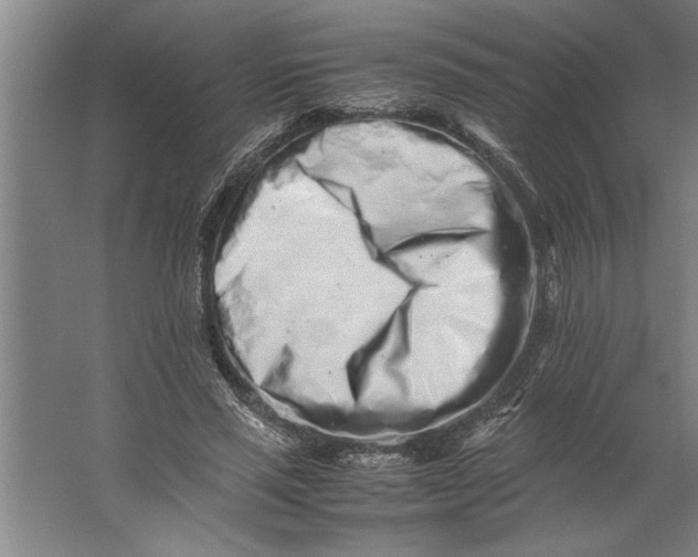 X0000062170637200512301646