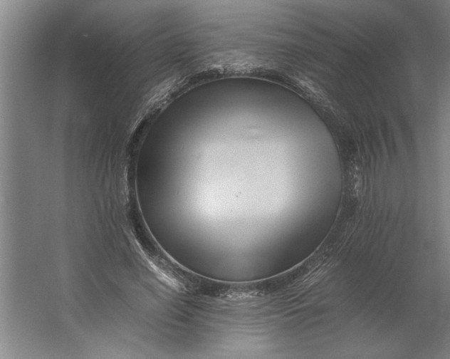 X0000062170638200512301646