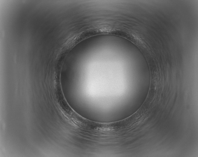 X0000062170639200512301646