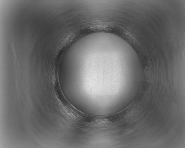 X0000062170642200512301646