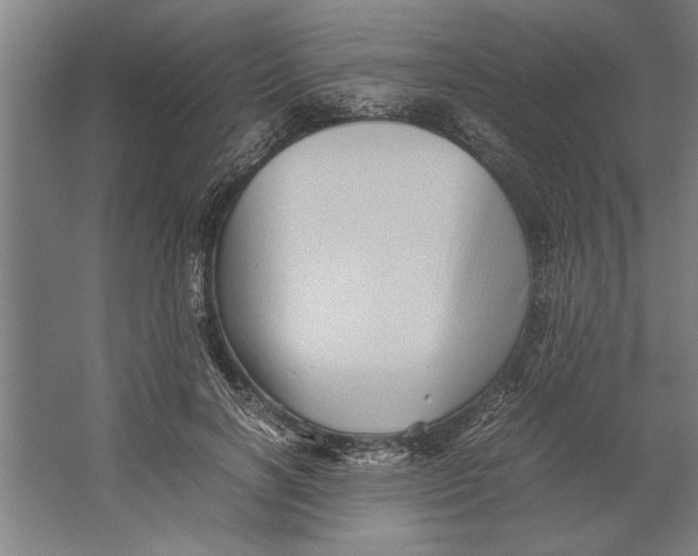 X0000062170646200512301646