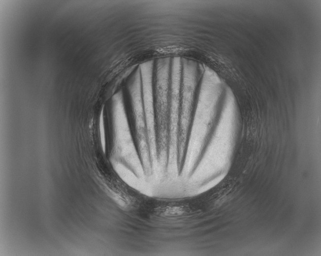 X0000062170647200512301646