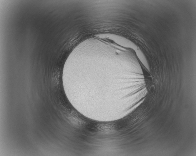 X0000062170652200512301646