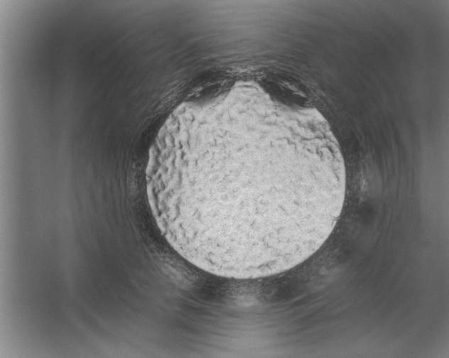 X0000062170658200512301646