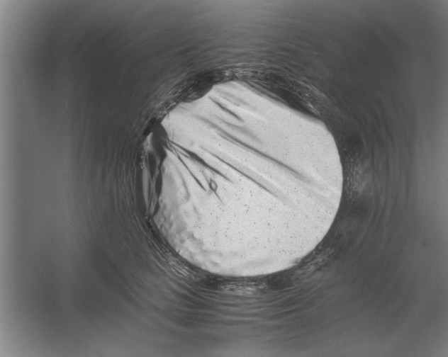 X0000062170661200512301646